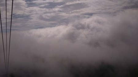 DSC_0235