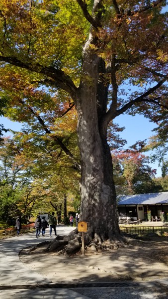 20181022_113801