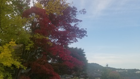20181022_163252