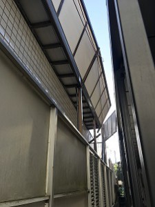 IMG_0574[1]