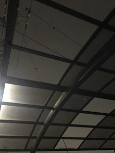 IMG_0596