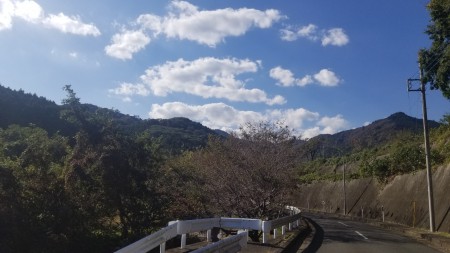 20181102_131614
