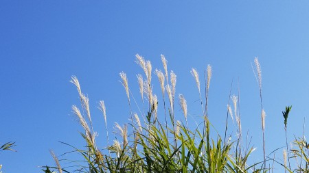 20181103_100321