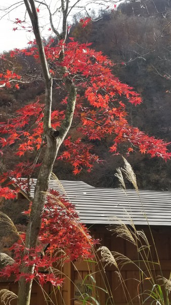 20181115_100327