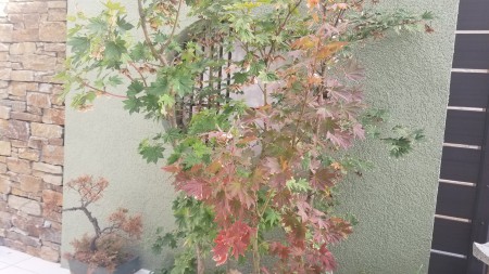 20181120_143441