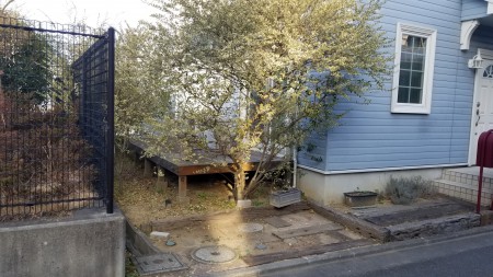20190108_084134