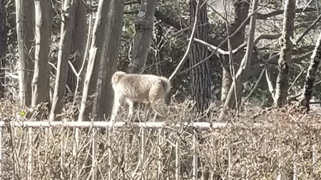 20190222_091506