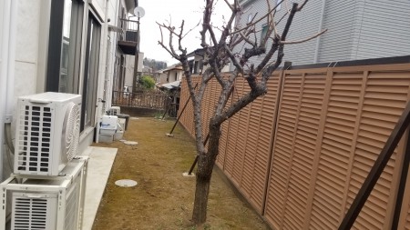20190227_085823