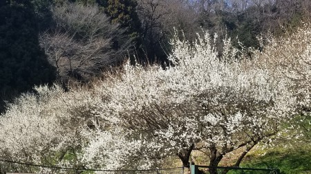 20190302_100116