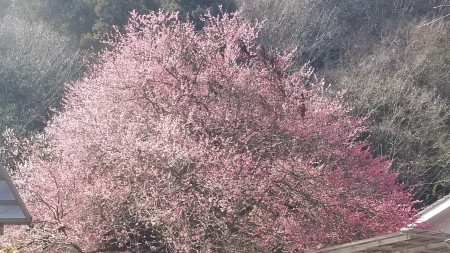 20190302_100349