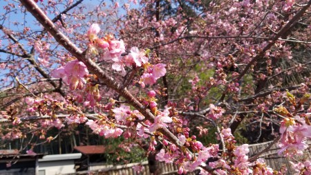 20190302_101538