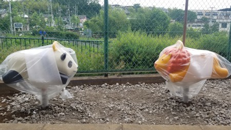 20190528_160228