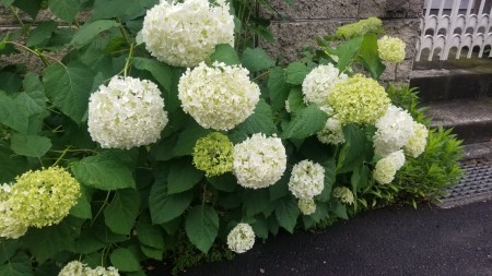 20190609_144250