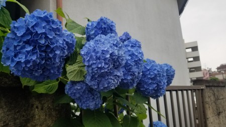 20190609_144258