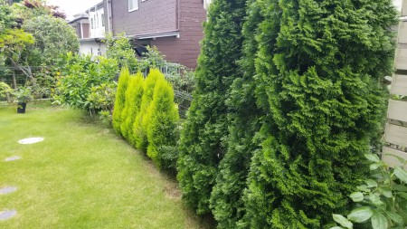 20190608_104528