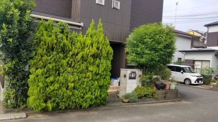 20190725_081434