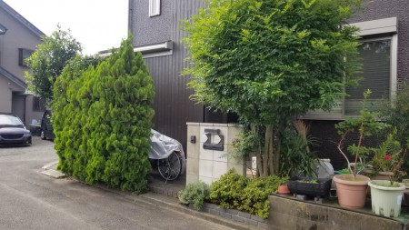 20190725_081445