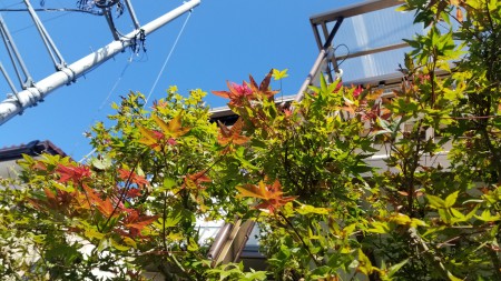 20190910_083312