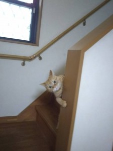 28094