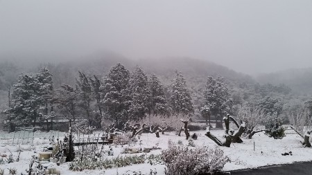20150130_065633