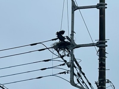image0