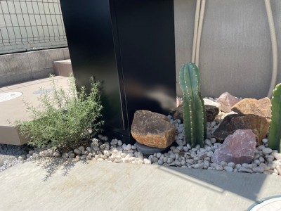 image7