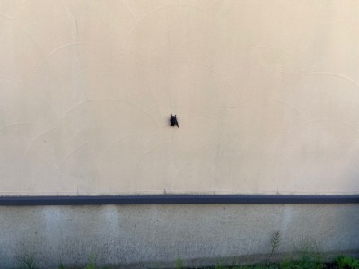 image0