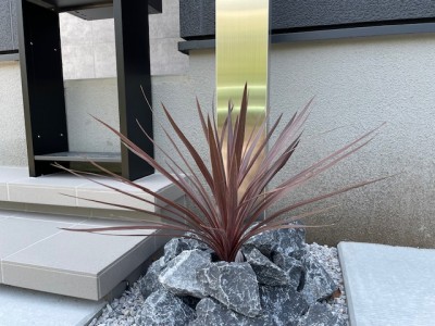 image6