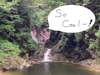 3AD522B4-2E98-487C-B68C-E05341748D8F