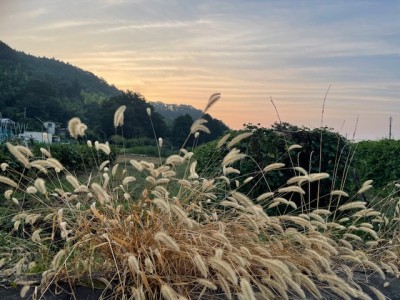 image0