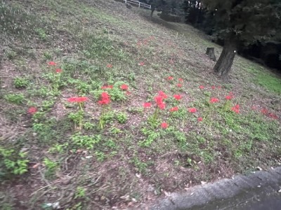 image0