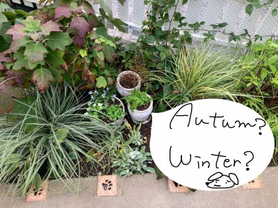 3DFF4559-DAFF-4972-A345-4552073CFEA5