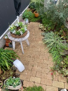 BB18905F-B1DB-4216-AB54-28C2B1188268