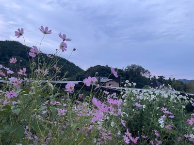 image0