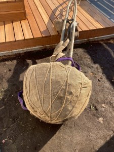 D69FC348-3C8A-4458-A5C4-EF0CEE37CF27