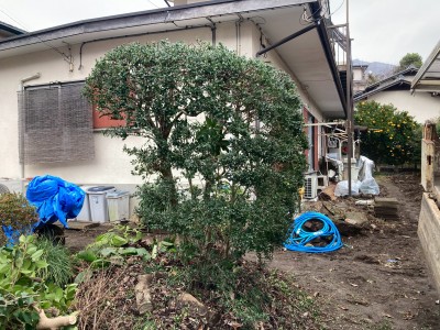 047A0C84-1376-474D-91AE-5E1EA73EA3CB