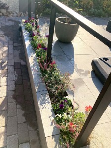 2A89C5A8-B52C-4E97-B4DD-AC26568FECB4